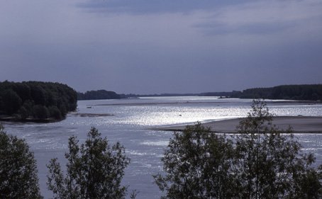Visite du delta du Pô et de la ville de Comacchio