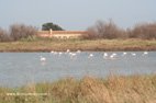 Réserve naturelle de Comacchio