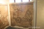 photo visite de Gubbio mosaique théatre romain