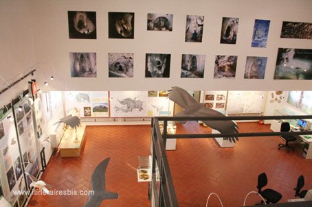 Visite de la ville de Costacciaro le musée d'Histoire naturelle