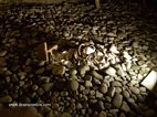 débris de poterie jetés dans le souterrain
