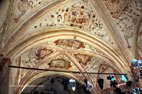 Le château Grinzane Cavour plafond peint