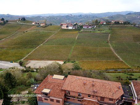 Visite de la ville de Barbaresco les vignobles de Barbaresco