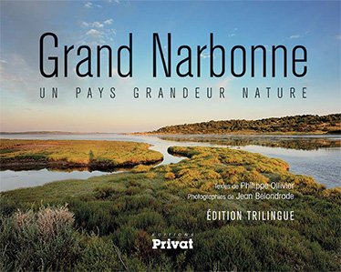 Livre sur le Grand Narbonne