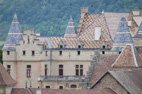 photo polychromie tuiles verniss&eacute;es chateau de Pupeti&egrave;re